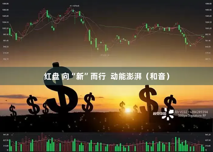 红盘 向“新”而行  动能澎湃（和音）