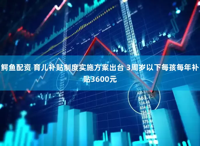 鳄鱼配资 育儿补贴制度实施方案出台 3周岁以下每孩每年补贴3600元