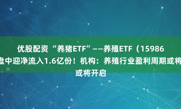 优股配资 “养猪ETF”——养殖ETF（159865）盘中迎净流入1.6亿份！机构：养殖行业盈利周期或将开启