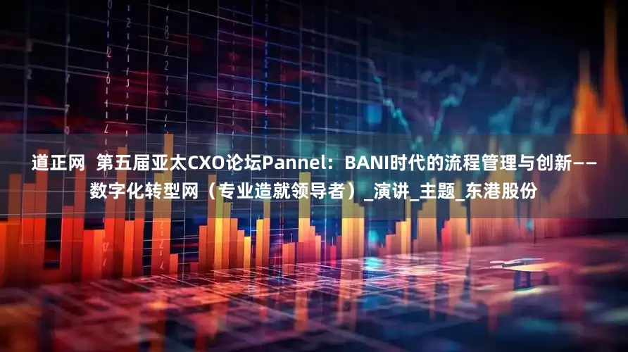道正网  第五届亚太CXO论坛Pannel：BANI时代的流程管理与创新——数字化转型网（专业造就领导者）_演讲_主题_东港股份